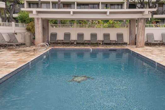 47-web-or-mls-35-print-37-web-or-mls-4-web-or-mls-36-web-or-mls-35-web-or-mls-35-web-or-mls-44-web-or-mls-53-web-or-mls-web_DSC03989