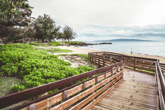 60-web-or-mls-48-print-51-web-or-mls-17-web-or-mls-49-web-or-mls-48-web-or-mls-48-web-or-mls-57-web-or-mls-68-web-or-mls-web_DSC04006-Edit