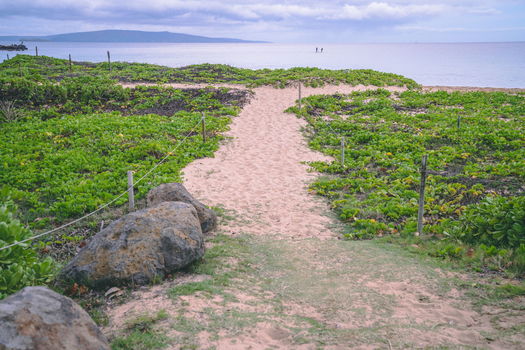 61-web-or-mls-49-print-52-web-or-mls-18-web-or-mls-50-web-or-mls-49-web-or-mls-49-web-or-mls-58-web-or-mls-69-web-or-mls-web_DSC04013