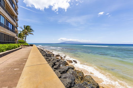 63-web-or-mls-45-print-62-web-or-mls-50-web-or-mls-3T3A9747-HDR