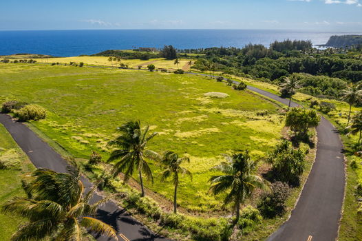 1-web-or-mls-DJI_0026