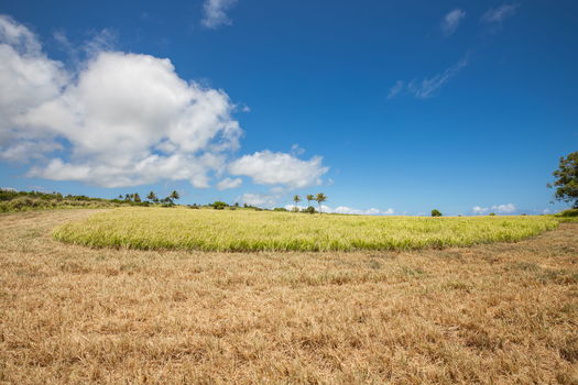 10-web-or-mls-4D9A9412-HDR