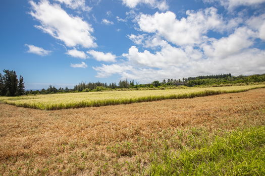 12-web-or-mls-4D9A9426-HDR