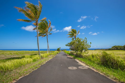 13-web-or-mls-4D9A9433-HDR