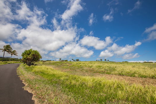 14-web-or-mls-4D9A9440-HDR