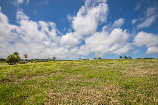 15-web-or-mls-4D9A9447-HDR