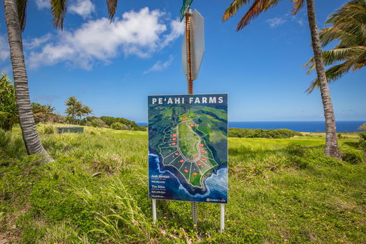 19-web-or-mls-4D9A9475-HDR