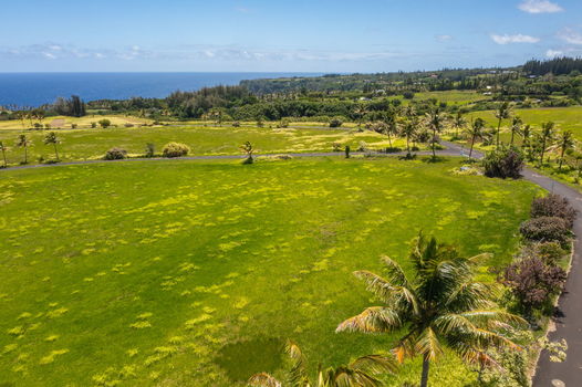 2-web-or-mls-DJI_0031