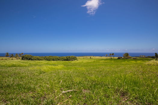 21-web-or-mls-4D9A9482-HDR