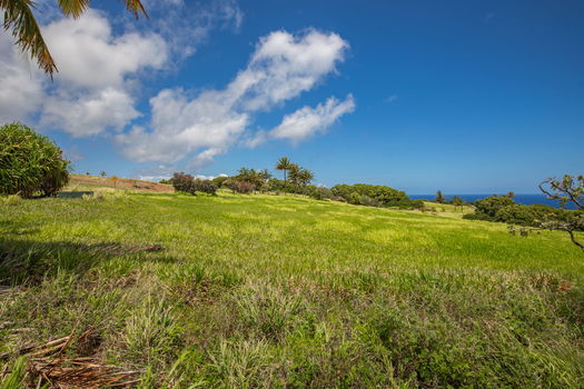 22-web-or-mls-4D9A9489-HDR