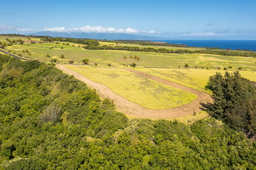 24-web-or-mls-DJI_0018