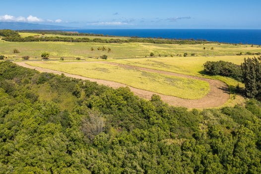 25-web-or-mls-DJI_0019