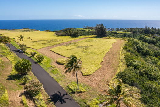 26-web-or-mls-DJI_0021