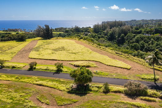 27-web-or-mls-DJI_0022