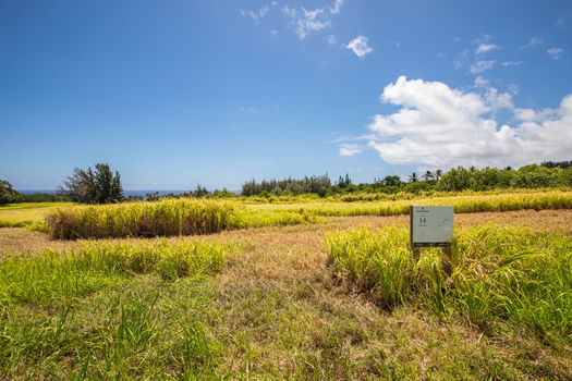 3-web-or-mls-4D9A9363-HDR