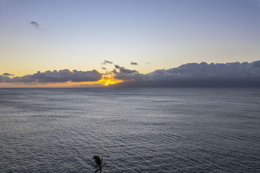 4-web-or-mls-20240709-PAC10248