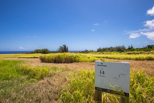 4-web-or-mls-4D9A9370-HDR