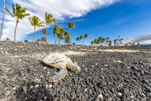 49-web-or-mls-20231218-PAC13109-HDR