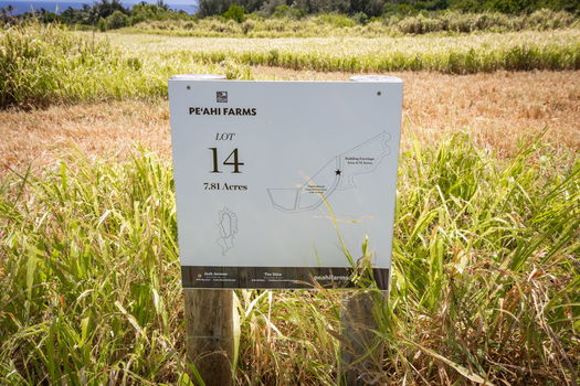 5-web-or-mls-4D9A9377-HDR