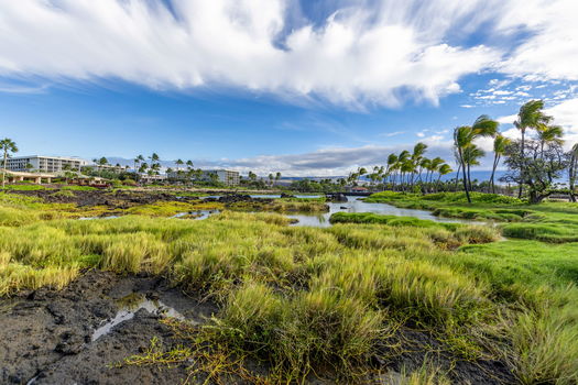 51-web-or-mls-20231218-PAC13125-HDR