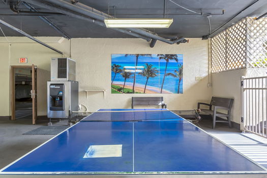 51-web-or-mls-32-print-36-print-39-print-52-web-or-mls-49-web-or-mls-39-web-or-mls-50-web-or-mls-41-web-or-mls-3T3A2290-HDR