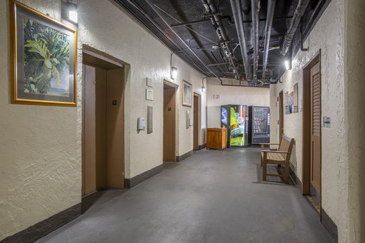 53-web-or-mls-34-print-38-print-41-print-54-web-or-mls-51-web-or-mls-41-web-or-mls-52-web-or-mls-42-web-or-mls-42-web-or-mls-web_3T3A2624-HDR