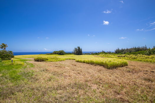 6-web-or-mls-4D9A9384-HDR