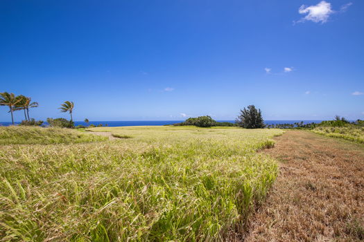 7-web-or-mls-4D9A9391-HDR