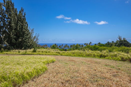 9-web-or-mls-4D9A9405-HDR