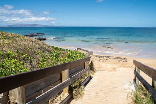 48-web-or-mls-RVN06522