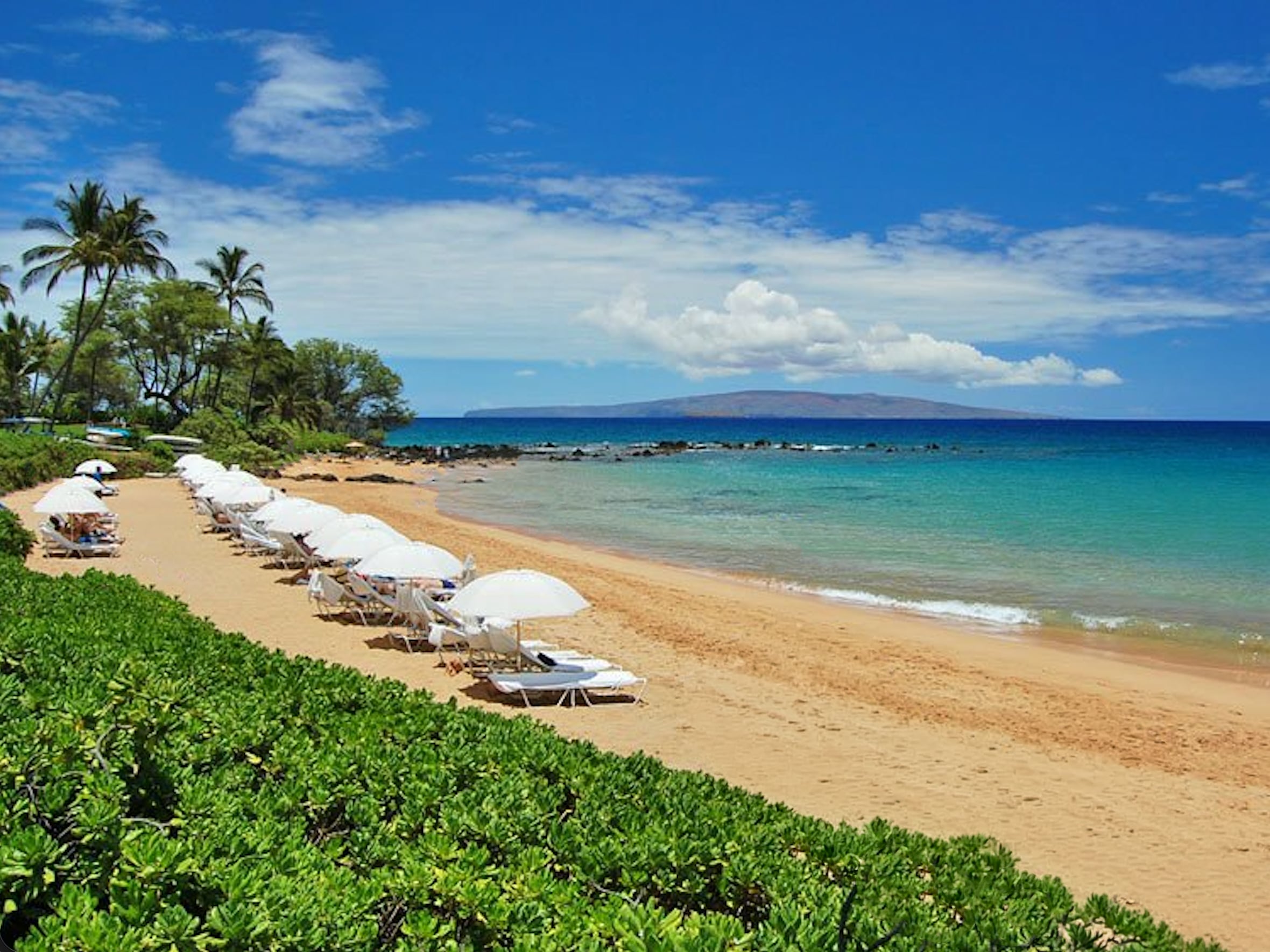 Screenshot 2026-03-22 at 1.56.19 PM