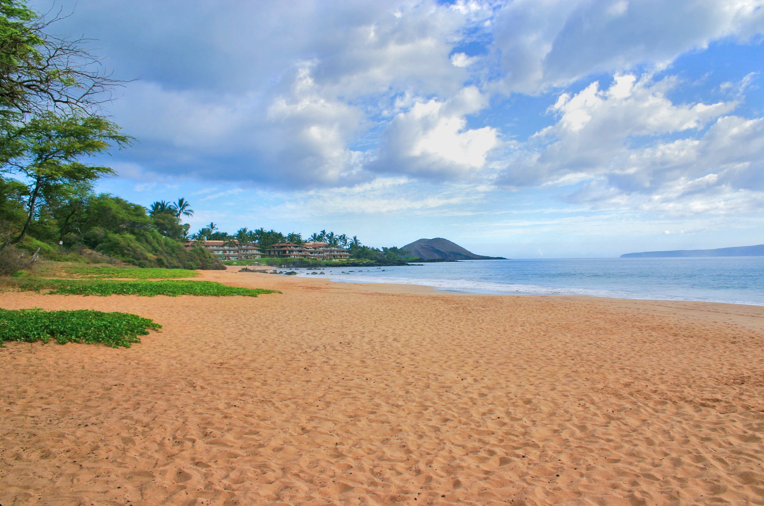 Screenshot 2026-03-22 at 9.03.28 PM