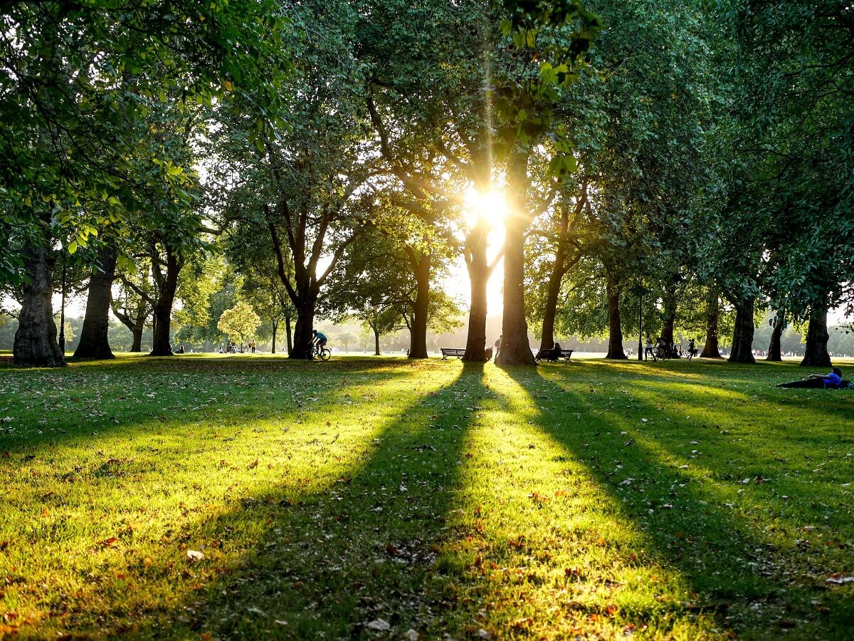 Hidden Gems: The Best Parks and Outdoor …