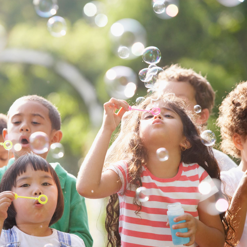 Top Elementary Schools in Steiner Ranch: What to Know for 2025