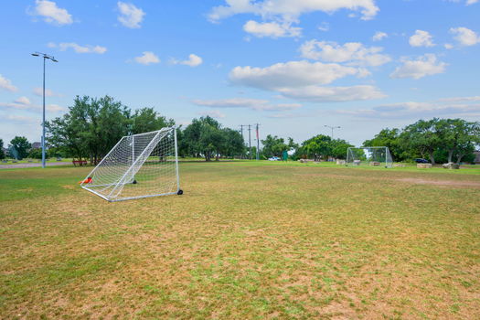 52-web-or-mls-DSC02534