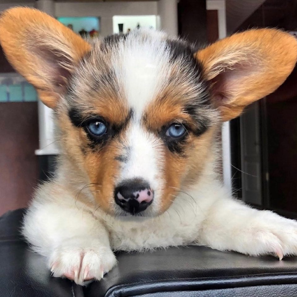 201826323_10108858617456503_6516373107832969349_n