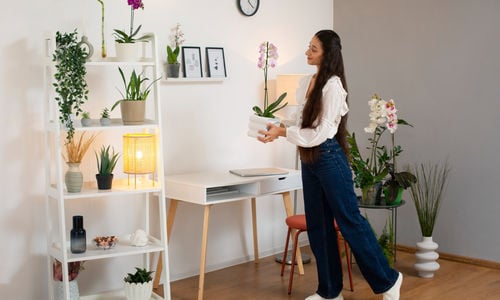 Staging Secrets: How to Make Your Washington Home …