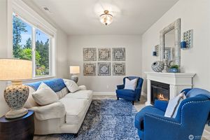 primary sitting room fire