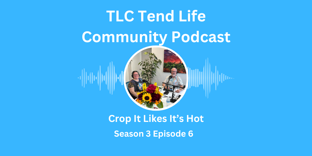 Episode 6 website farmers market