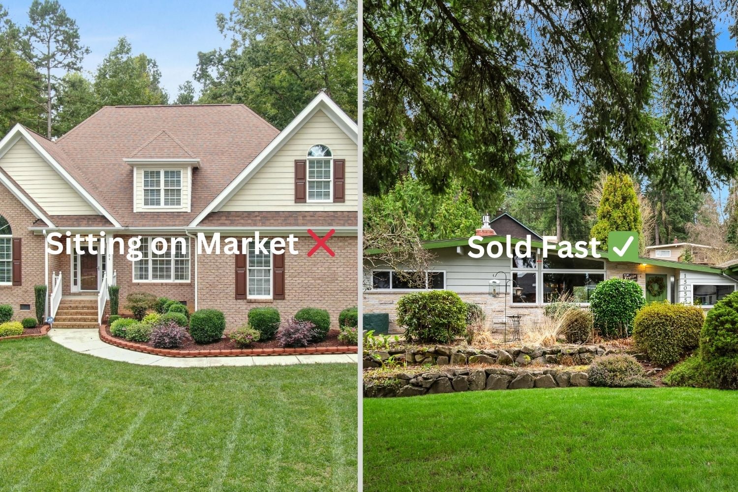 Sitting on the market