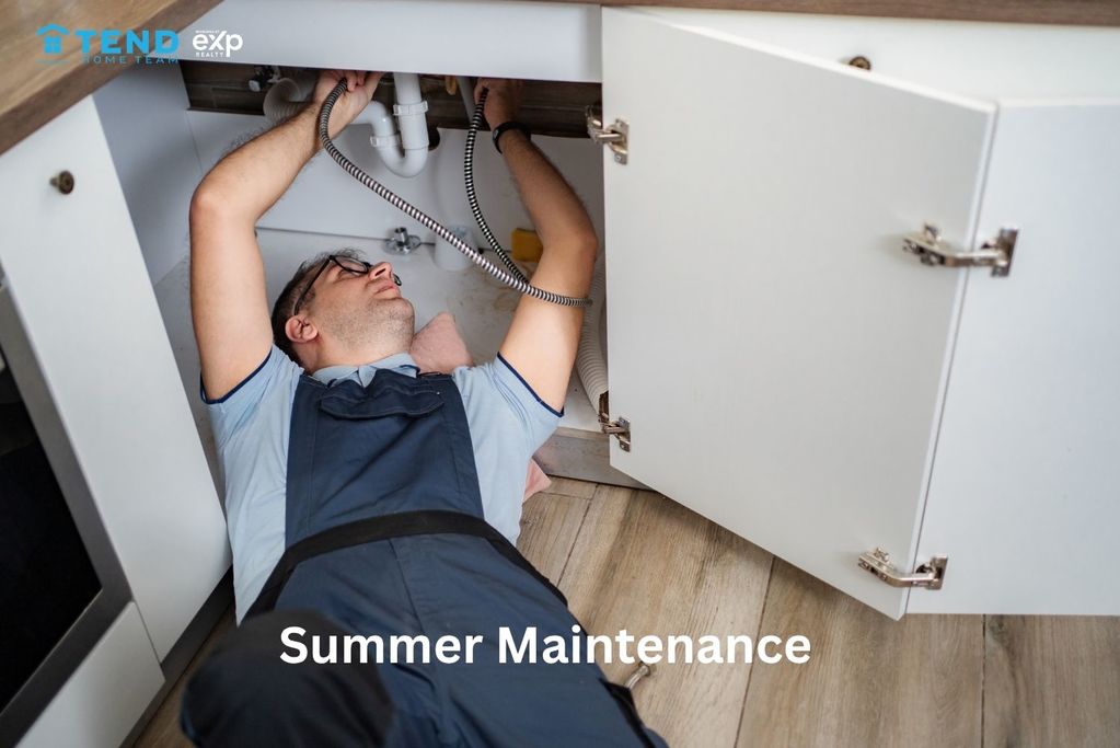 Undersink Inspection
