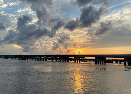 adedoyin-adesanya-wbthg47koJQ-unsplash (1)