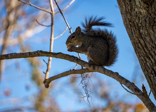 jonathan-lowe-UgJDzH5pUUA-unsplash