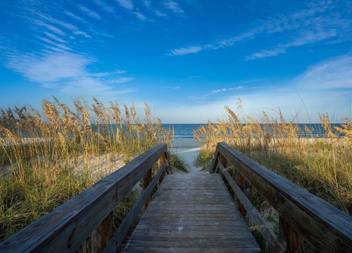 shutterstock_2194439789 (1)