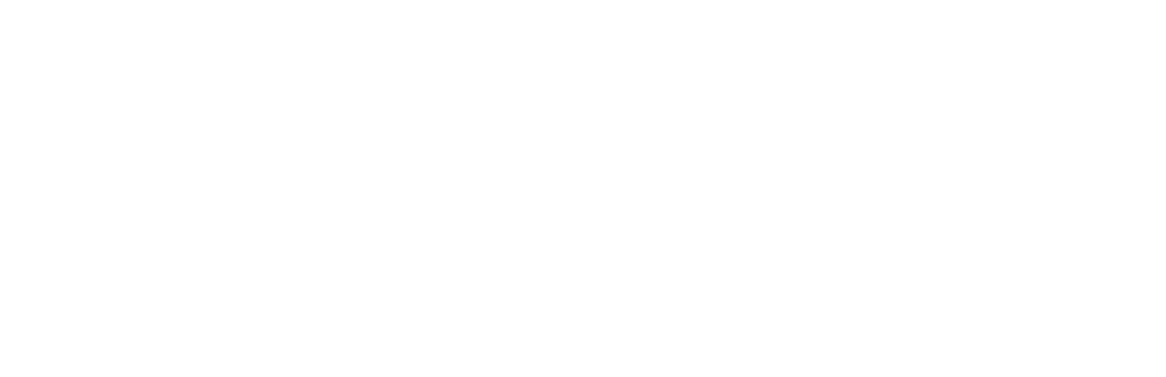 WrightGroup_Full Logo_White