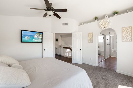 A9M_031_1378 Corte Lira