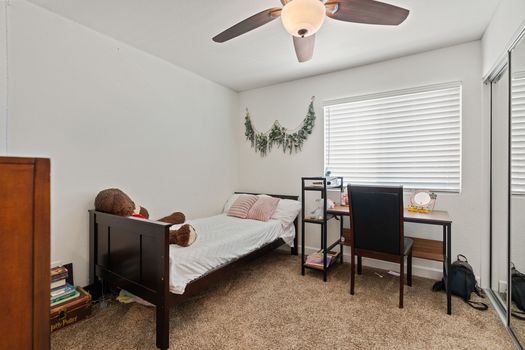 A9M_038_1378 Corte Lira