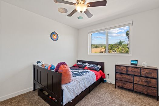 A9M_040_1378 Corte Lira