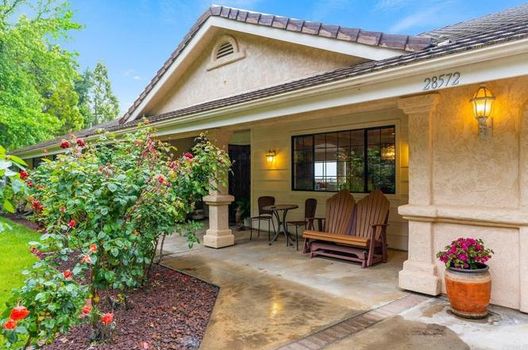 genMid.NDP2305198_1_1