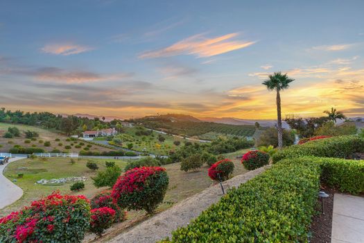 53-A9M-9746 Megan Terrace